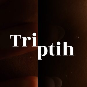 triptih-projects-img-1